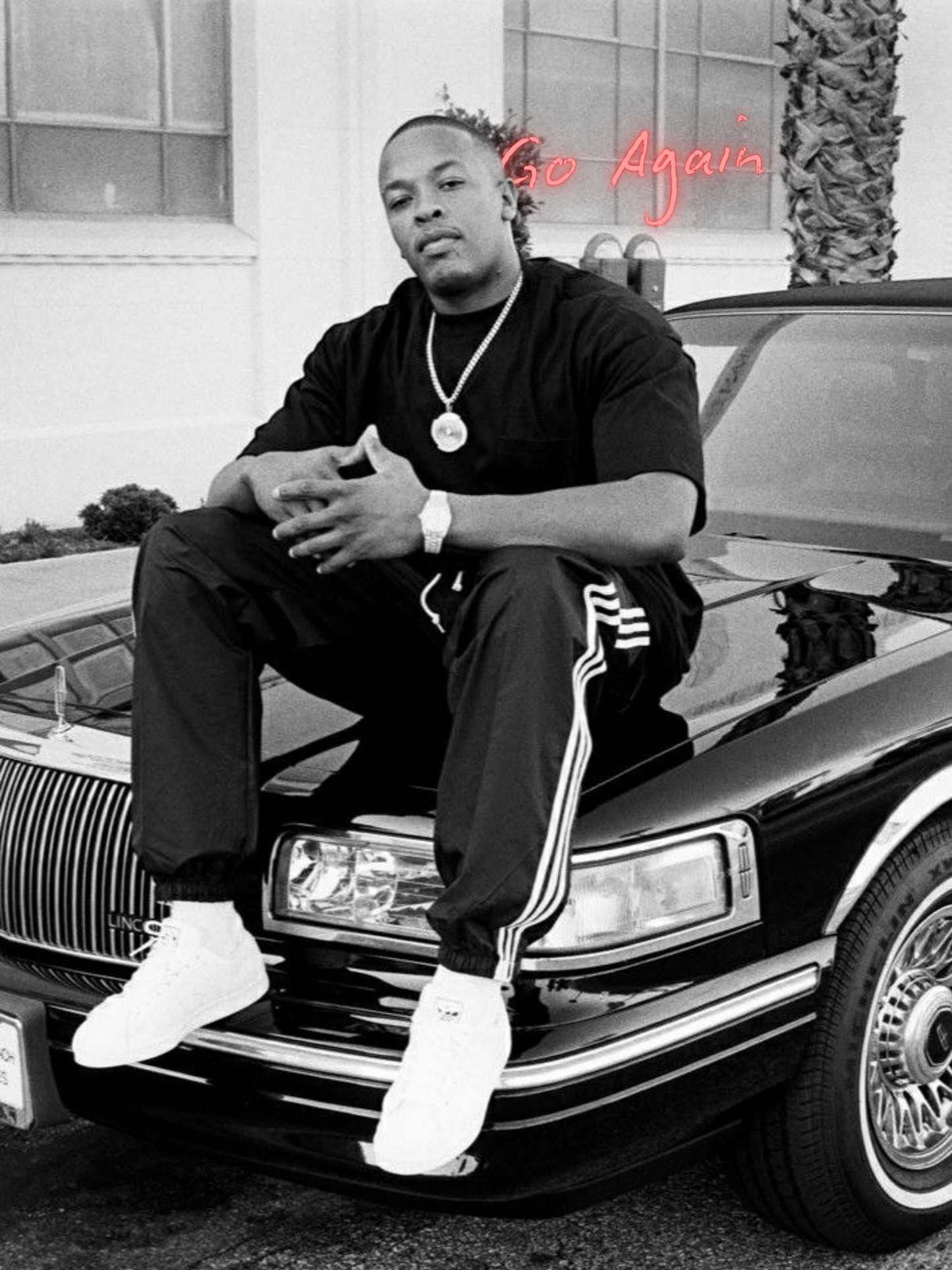 Cuadro Dr.Dre "Go Again"
