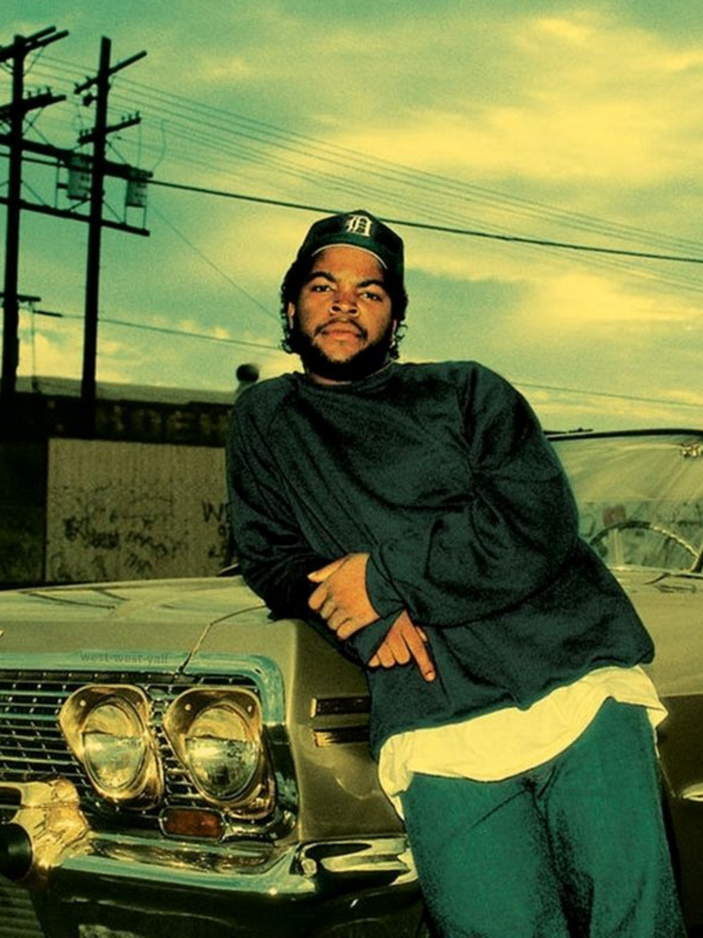 Cuadro Ice Cube "Sin Texto"