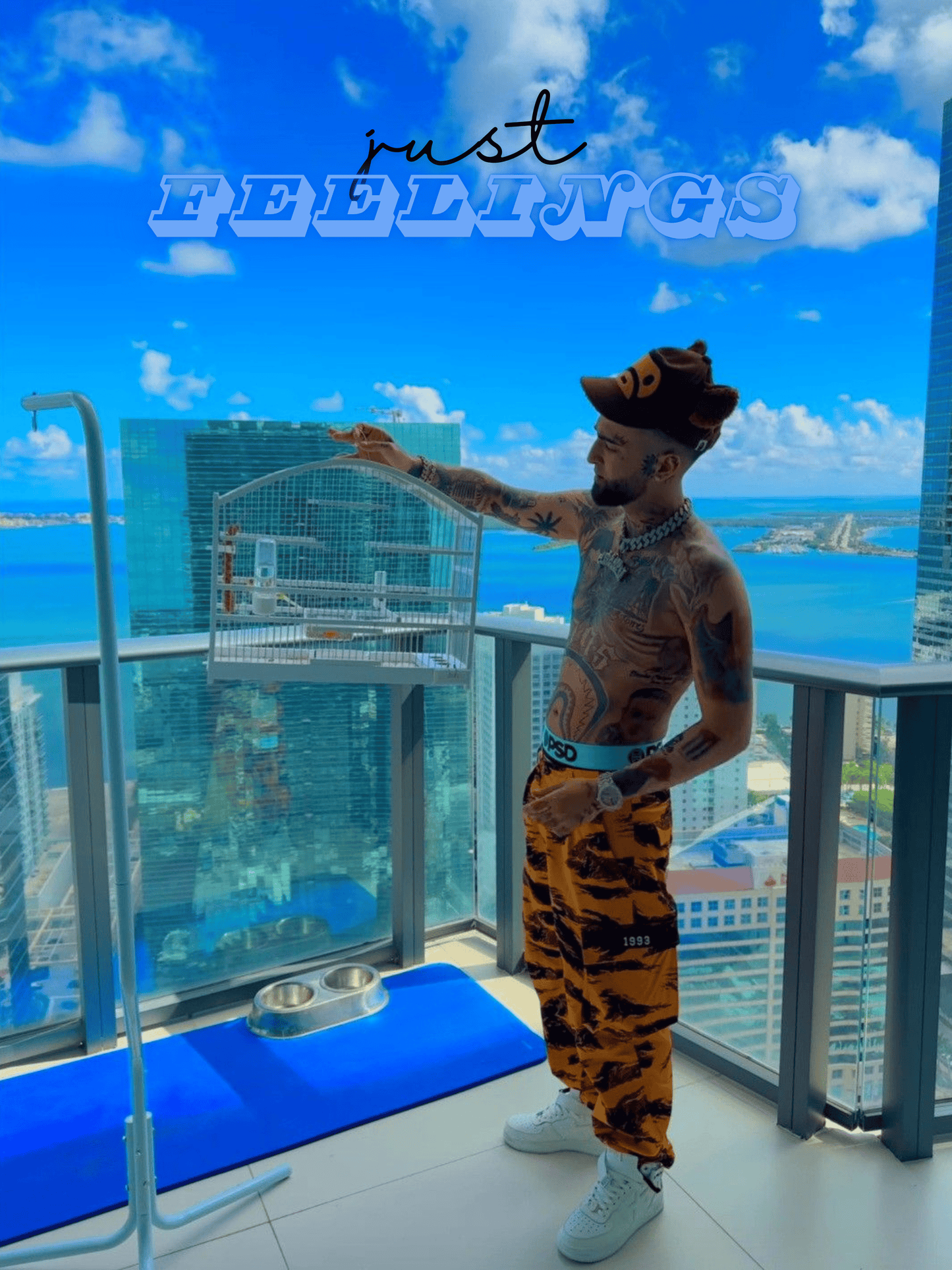 Cuadro OVI "Just Feelings"