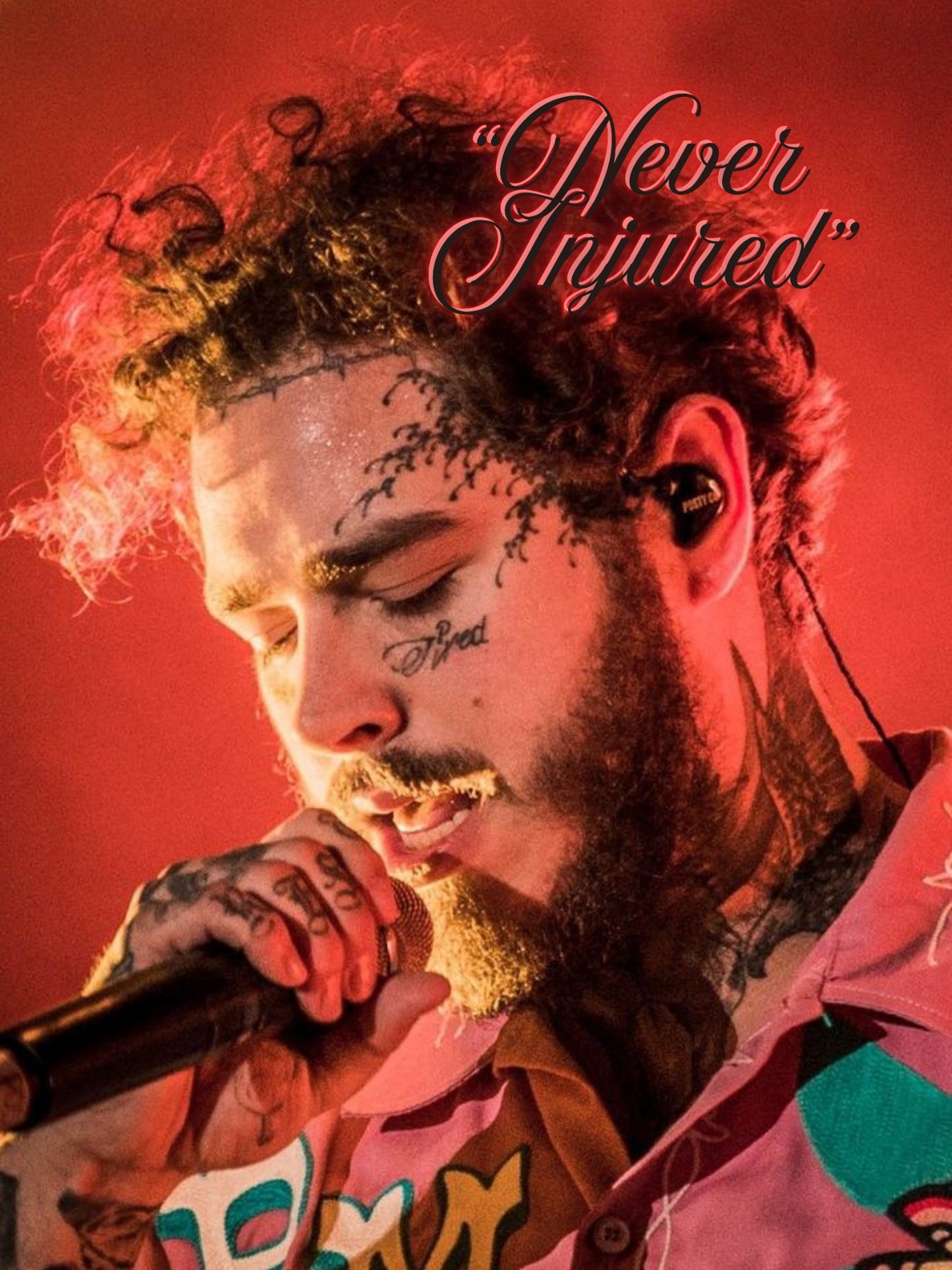 Cuadro Post Malone "Never Injured"