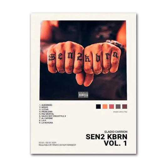 Cuadro "Sen2 KBRN Vol. 1"