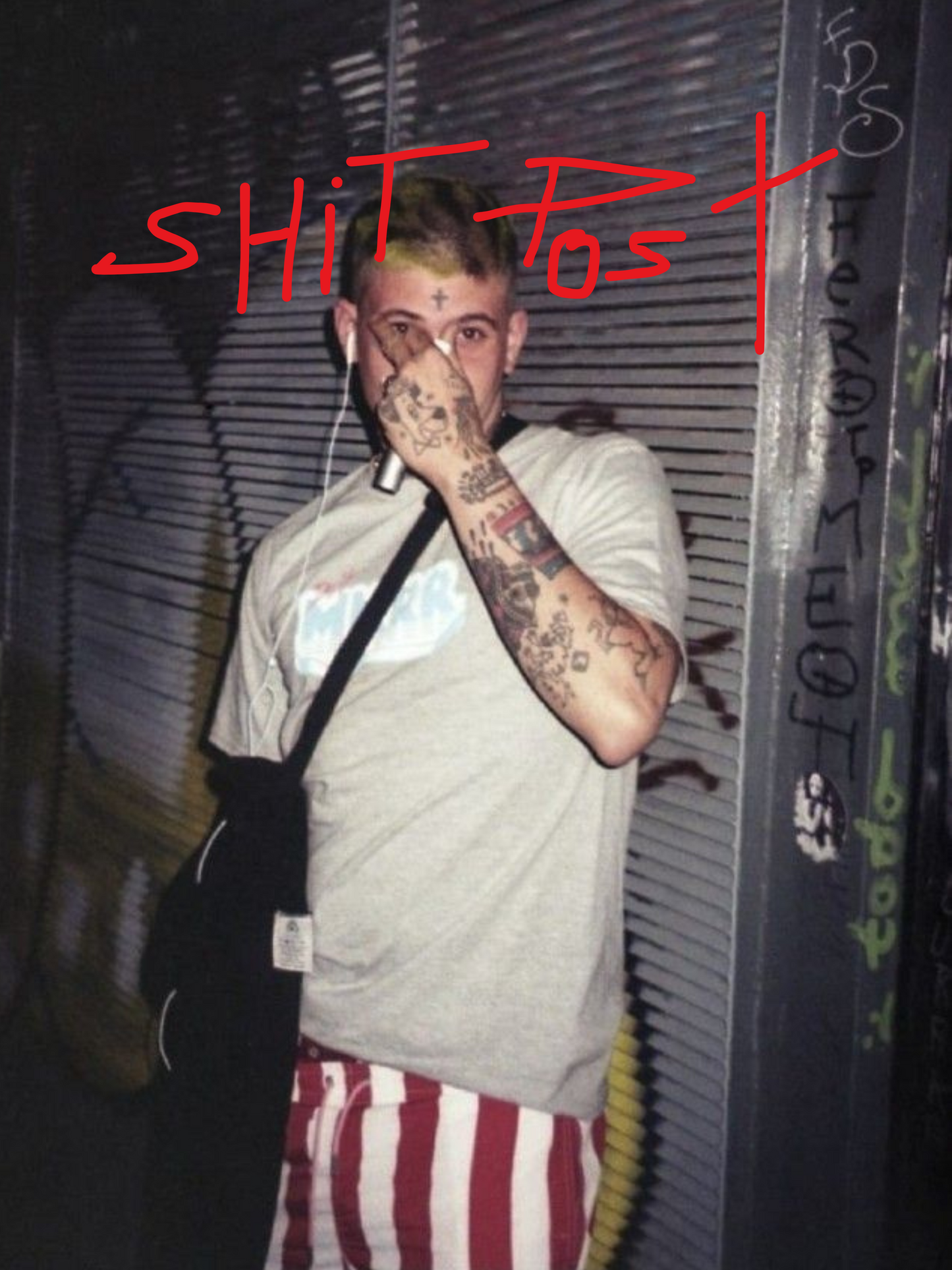 Cuadro Cecilio G "Shit Post"