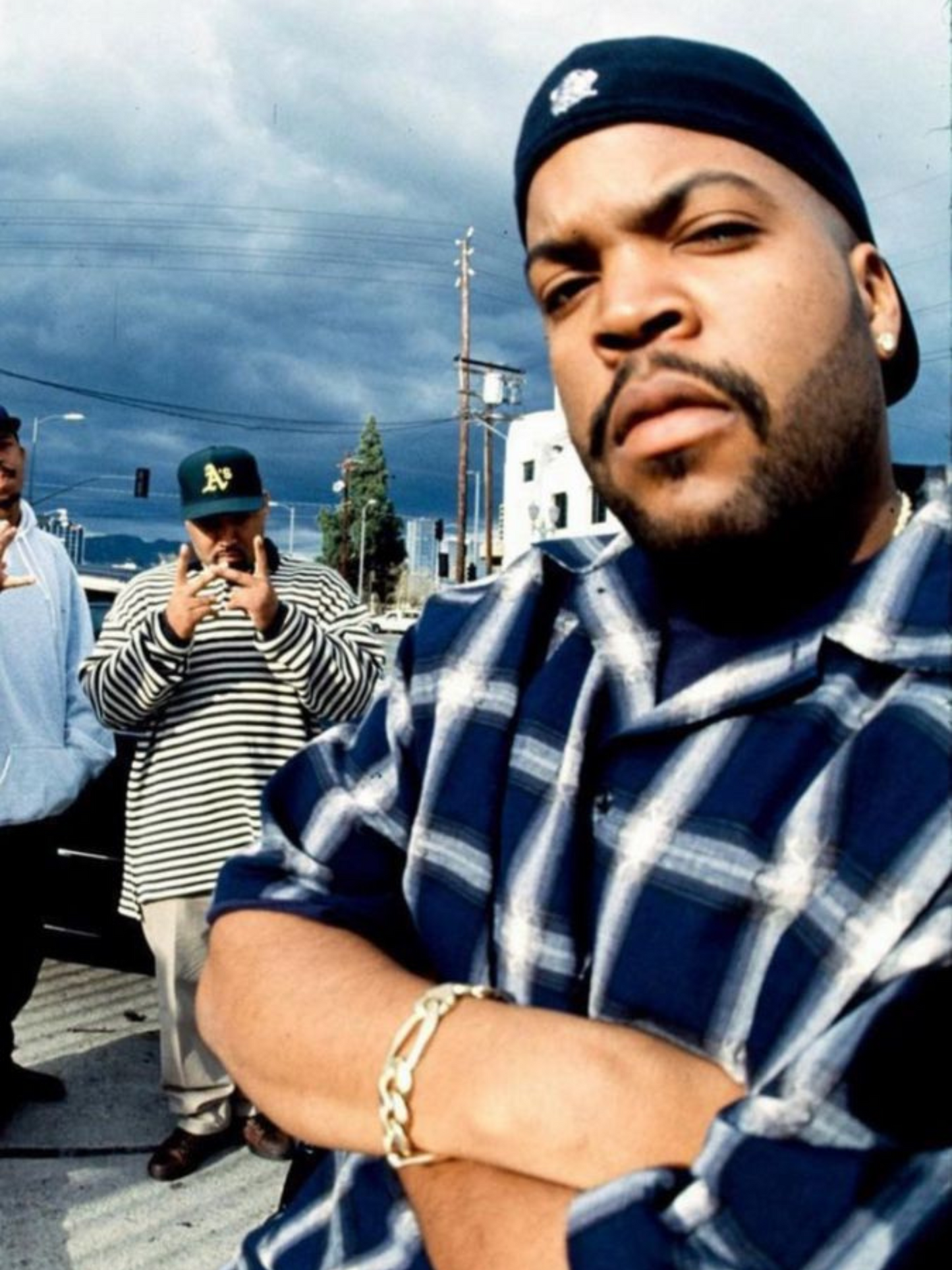 Cuadro Ice Cube "Sin Texto"