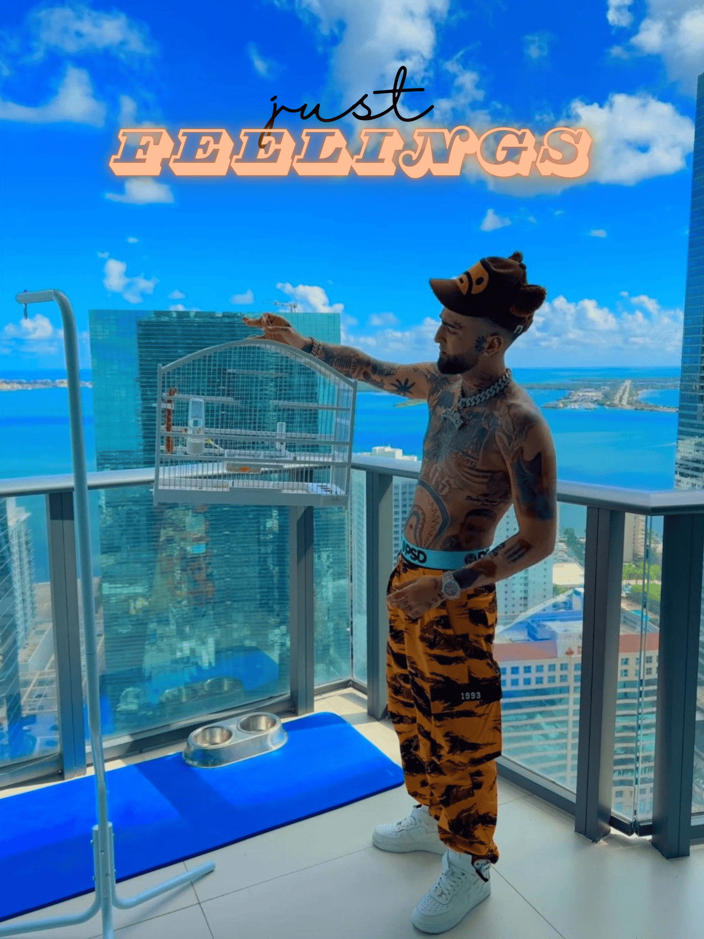 Cuadro OVI "Just Feelings"