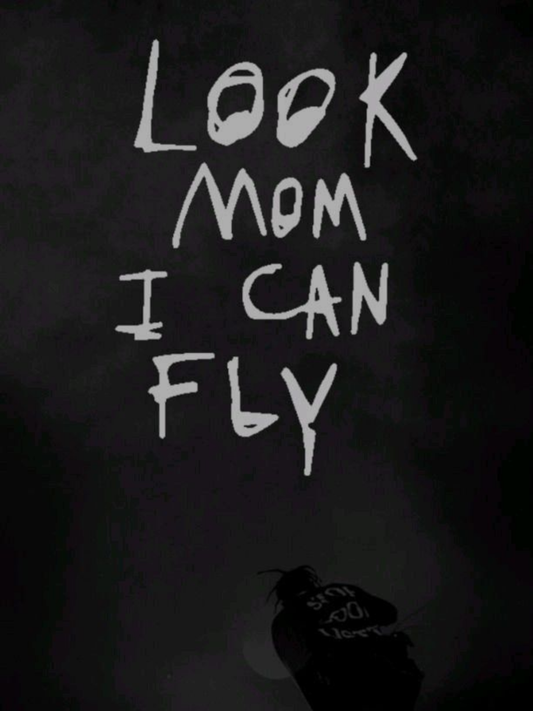 Cuadro Travis Scott "Look Mom I Can Fly"