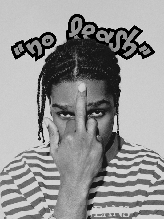 Cuadro A$AP Rocky "No Leash"