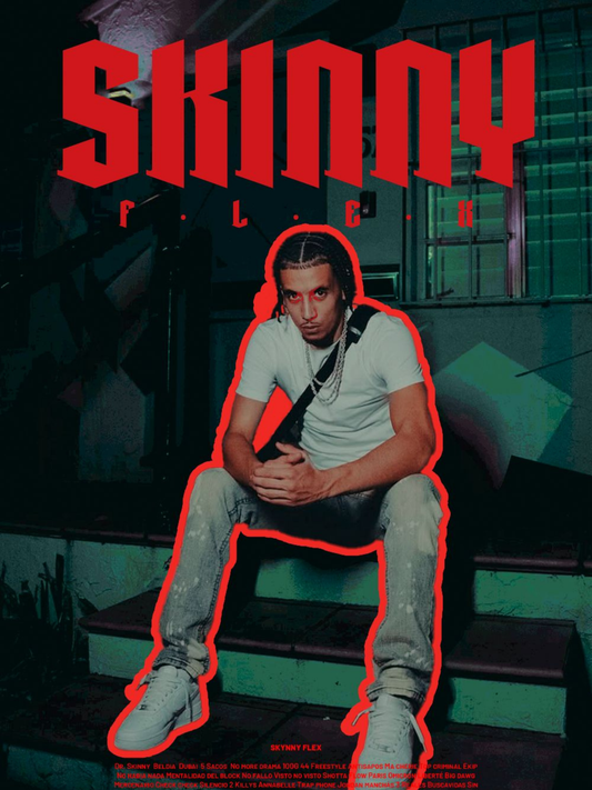 Cuadro Skinny Flex "Portada"