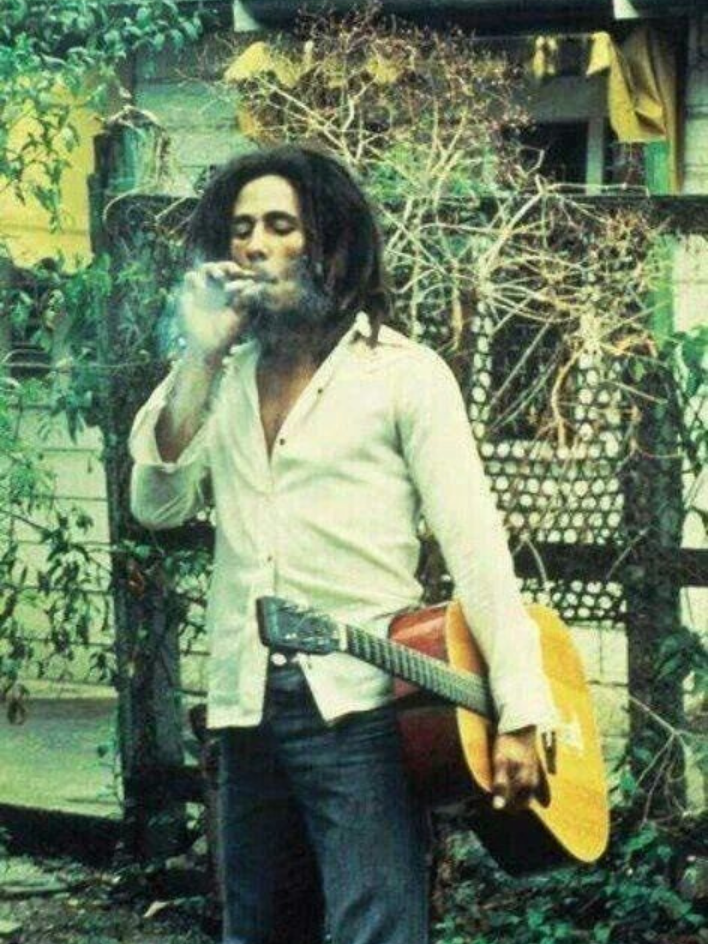 Cuadro Bob Marley "Sin Texto"