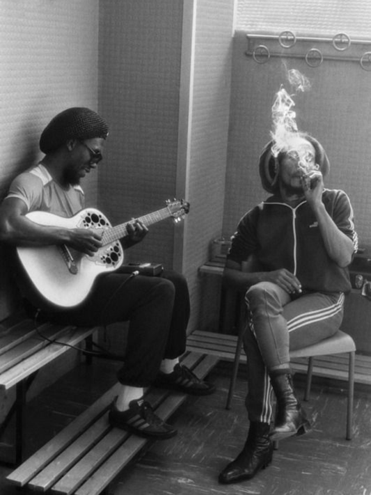 Cuadro Bob Marley "Sin Texto"