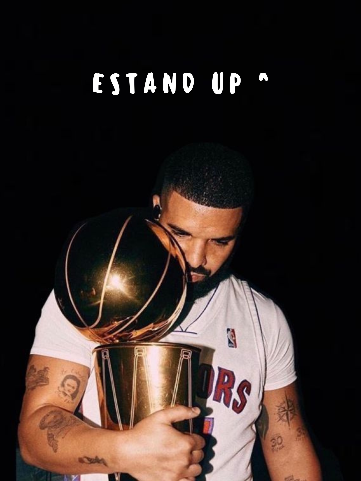 Cuadro Drake "Estand Up ^ "