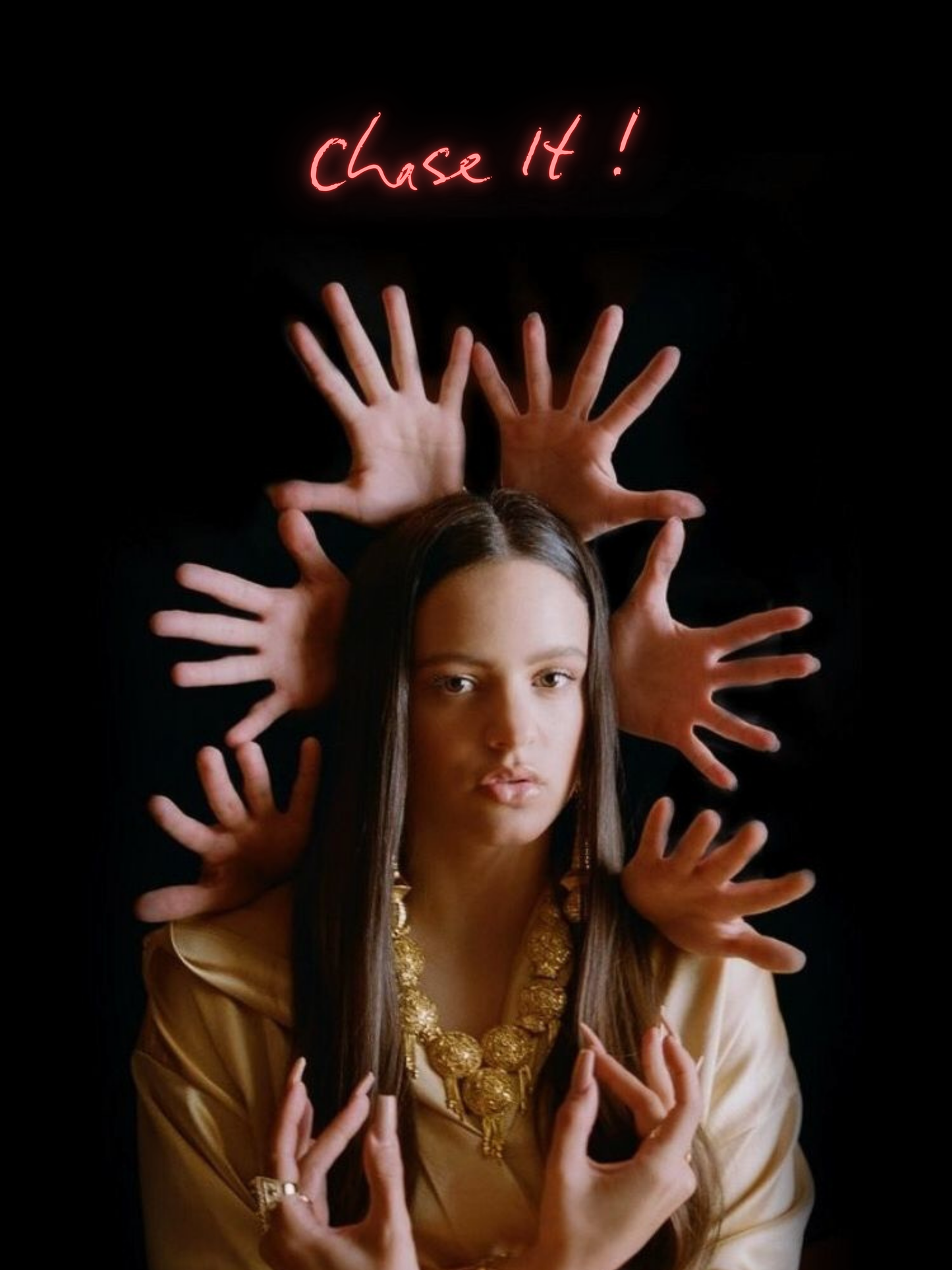 Cuadro Rosalia "Chase It !"